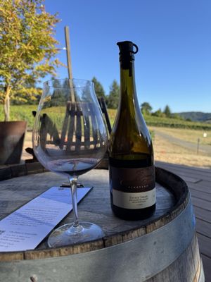 Coeur De Terre Vineyard by null