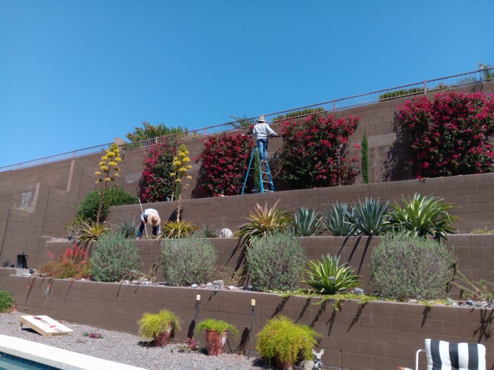 GERONIMO PACHECO LANDSCAPING 236 Photos & 24 Reviews Phoenix