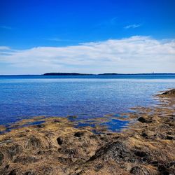 Wolfe's Neck Woods State Park