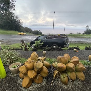 Waipi’o Fruit Shack - Could be a nice place to watch the sunset if weather permits? - Fruits & Veggies Near Me - Honokaa, Hawaii Waipi’o Fruit Shack - Could be a nice place to watch the sunset if weather permits? - Fruits & Veggies Near Me - Honokaa, Hawaii