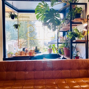 Bits Cafe - Coffee & Tea Near Me - Olympia, Washington