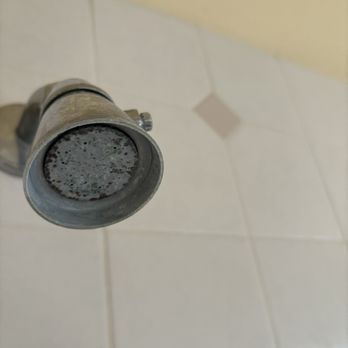 Well Within Spa - Disgusting shower head! - Massage Near Me - Santa Cruz, California Well Within Spa - Disgusting shower head! - Massage Near Me - Santa Cruz, California