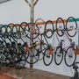 Photo of Dashing Bicycles