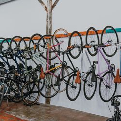 Dashing Bicycles