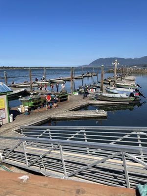Kelly's Brighton Marina & Campground by null