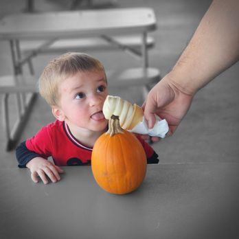 Sunsational Farms - Jameson is enjoying a Creamsicle ice cream cone! - Farms Near Me - Umatilla, Florida Sunsational Farms - Jameson is enjoying a Creamsicle ice cream cone! - Farms Near Me - Umatilla, Florida