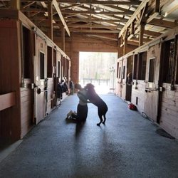 Blue Ridge Stables