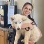 Chico Creek Animal Hospital