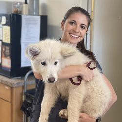 Chico Creek Animal Hospital