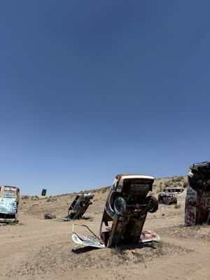 The International Car Forest by null