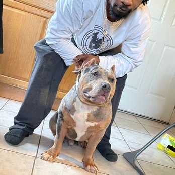 3 Kyngz Kennel - Pet Breeders Near Me 3 Kyngz Kennel - Pet Breeders Near Me