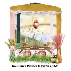 Ambience Picnics & Parties