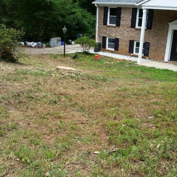 3-G Trees - After the tree was removed from the front yard at my Smyrna house. - Tree Services Near Me - Lawrenceville, Georgia