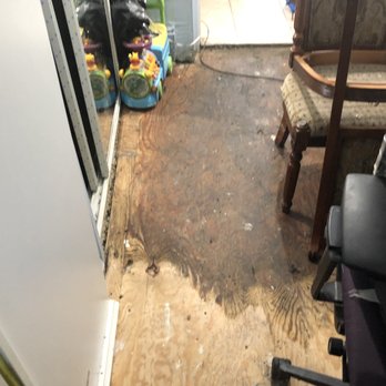 Tailored Mold Inspections - Environmental Testing Near Me Tailored Mold Inspections - Environmental Testing Near Me