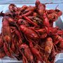 Photo of Fat Sacks Crawfish