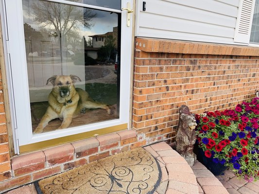 Echter's Nursery & Garden Center