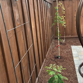 New Era Design - Landscape Architects or Designers Near Me
