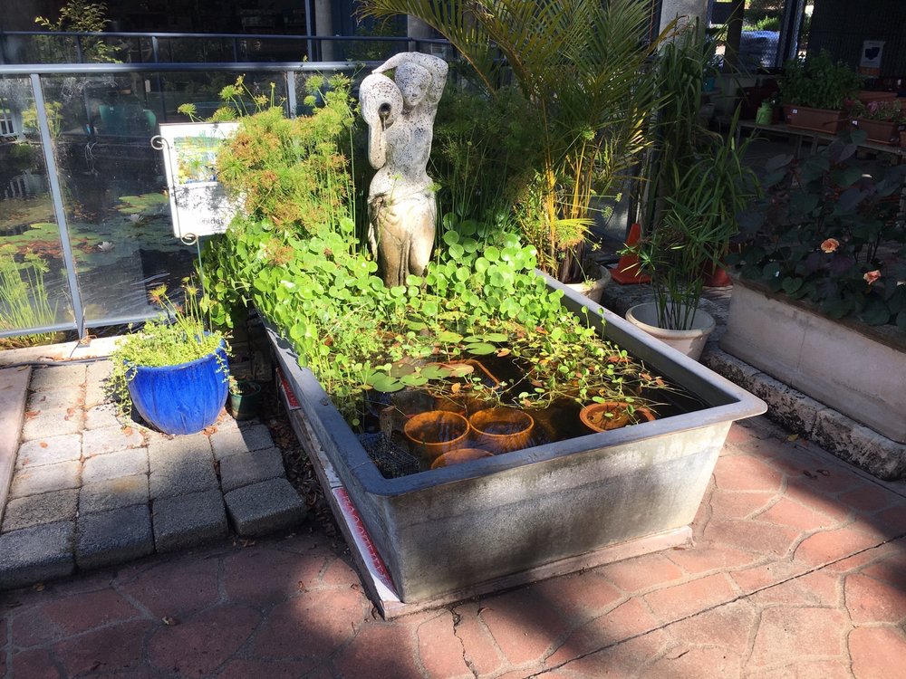 WALDECKS BENTLEY Updated July 2024 12 Photos 75 Manning Rd