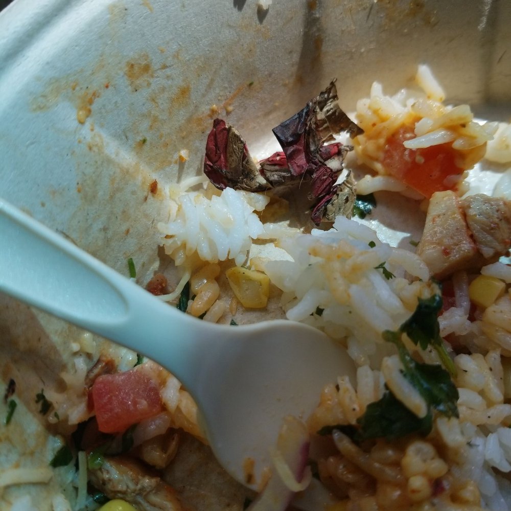 QDOBA Mexican Eats - What i found in my food nasty... - Mexican Near Me - Silver Spring, Maryland
