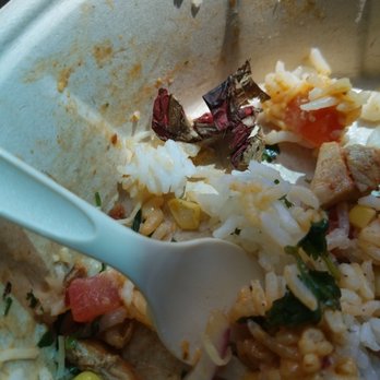 QDOBA Mexican Eats - What i found in my food nasty... - Mexican Near Me - Silver Spring, Maryland QDOBA Mexican Eats - What i found in my food nasty... - Mexican Near Me - Silver Spring, Maryland