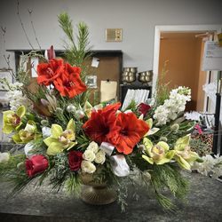 Hassell Florist - Wonder and Wow