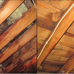 Mold Solutions & Inspections