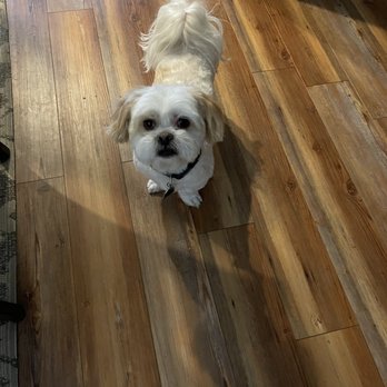 On Command - After.. - Pet Sitting Near Me - Reno, Nevada