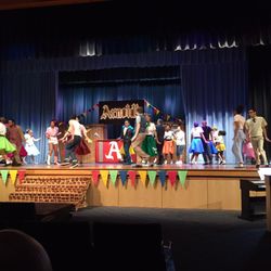 Indian River High School
