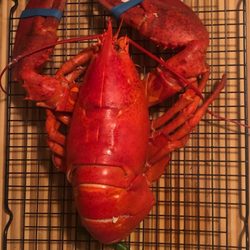 Lobster Bros Seafood - Cooked to perfection