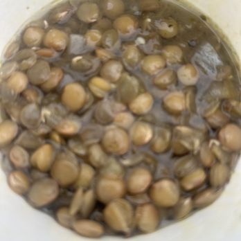 Petros Kafe - Lentil soup - Cafes Near Me - Los Angeles, California