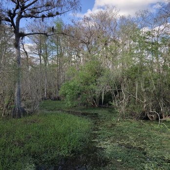 Wild Lime Adventures - Tours Near Me