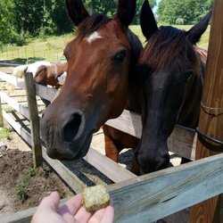 Schooner Valley Riding Stable