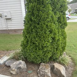 Mulch and More