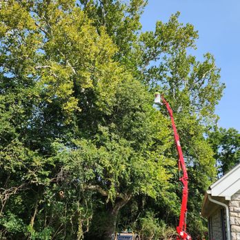 SJD Tree Care - Tree Services Near Me - Dayton, Ohio SJD Tree Care - Tree Services Near Me - Dayton, Ohio