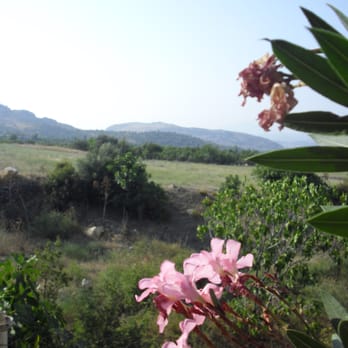 Atilla's Getaway - amazing views - Hostels Near Me - İzmir, 35