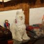 Photo of Babouche