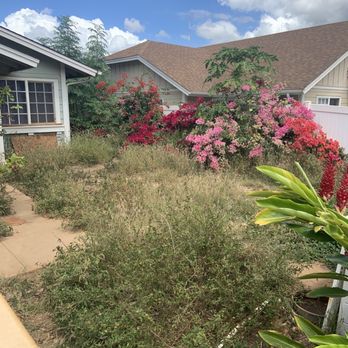Precision Yard & Tree Services - Before... - Tree Services Near Me Precision Yard & Tree Services - Before... - Tree Services Near Me