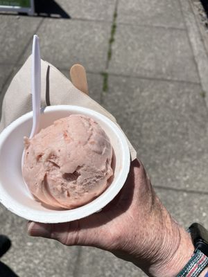 Hurry Back Ice Cream by null