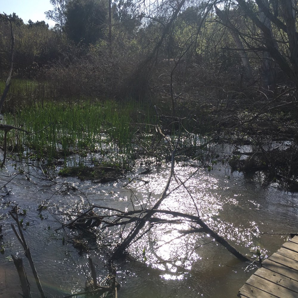 Creek!