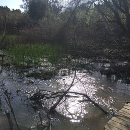 Creek! Creek!