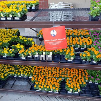 Lowe's Home Improvement - Flower sale already? - Hardware Stores Near Me - Edmond, Oklahoma Lowe's Home Improvement - Flower sale already? - Hardware Stores Near Me - Edmond, Oklahoma