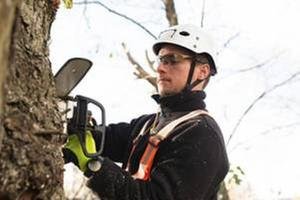 Rivertown Tree Service - tree service in Hastings, MN