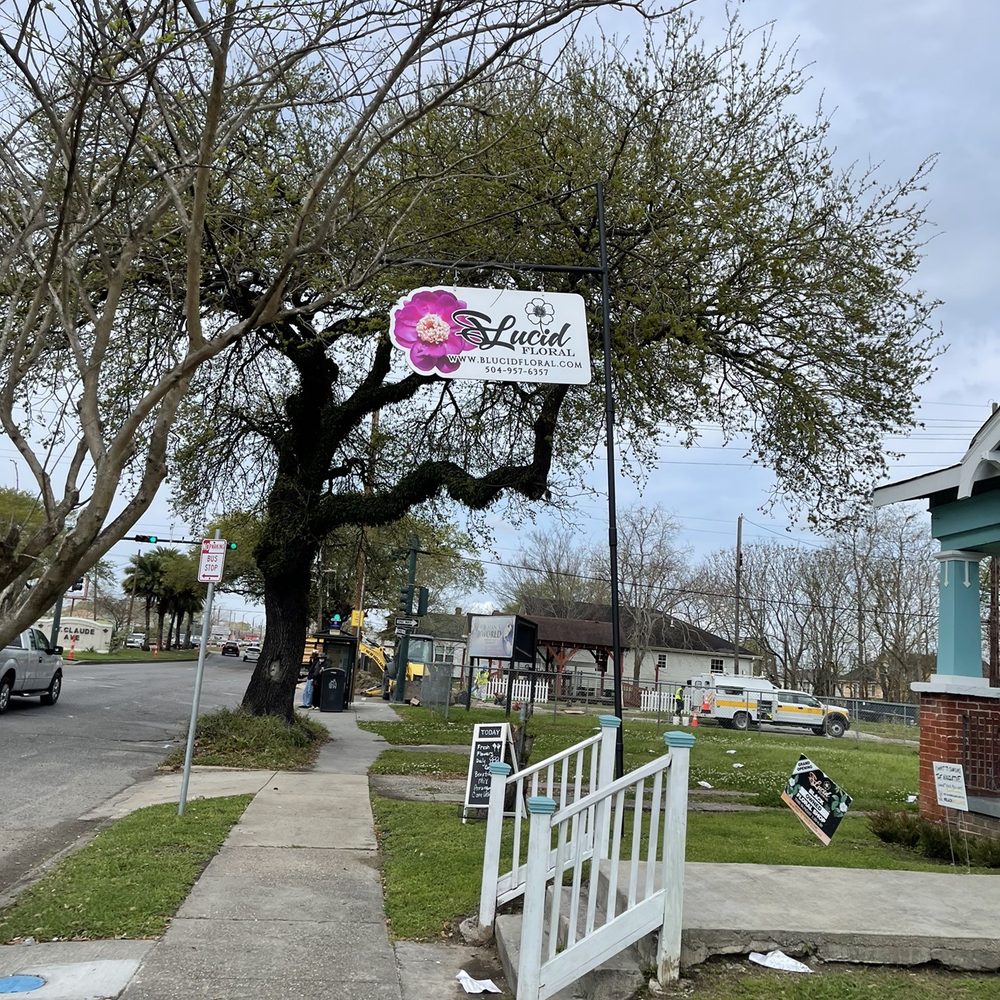 Blucid Floral - Street sign - Florists Near Me - New Orleans, Louisiana