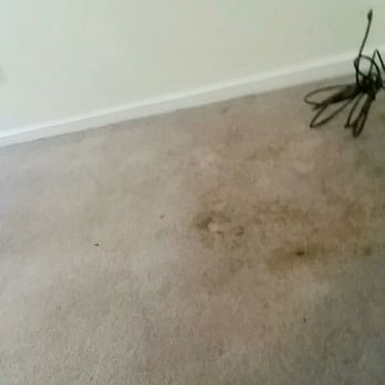 Carpet Cleaning Charlotte - Carpet Cleaning Near Me - Charlotte, North Carolina Carpet Cleaning Charlotte - Carpet Cleaning Near Me - Charlotte, North Carolina