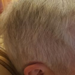 Great Clips - The decent side