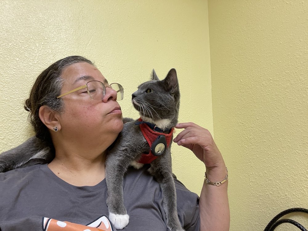 TENDER HEARTS ANIMAL HOSPITAL Updated October 2024 16 Photos & 13