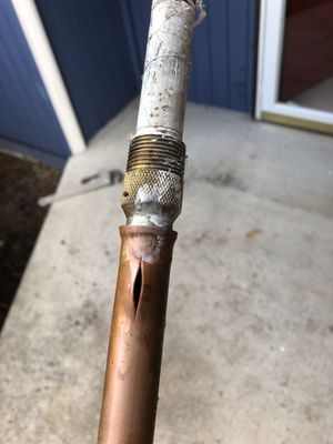 Oak Plumbing Logo