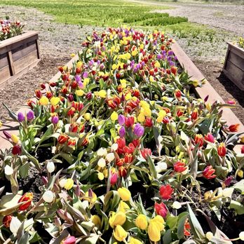 Flora Fields - Attraction Farms Near Me - Kohler, Wisconsin Flora Fields - Attraction Farms Near Me - Kohler, Wisconsin