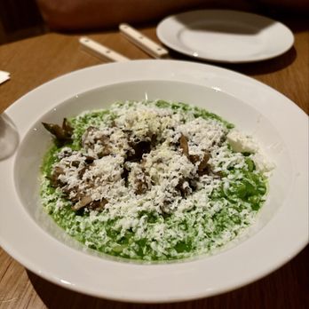 San Damian - Orzo pistachio mole - Seafood Near Me - Los Angeles, California