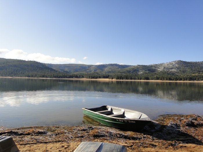 Five Dot Fly Fishing Club Logo